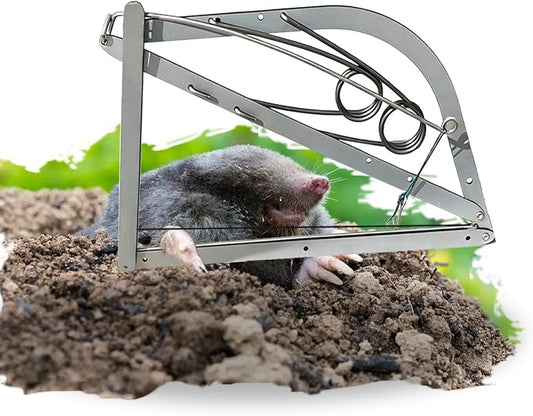 Reusable Outdoor Chipmunk Spring Trap - for Meadow, Woods, Orchard, Gardens & All Outdoor Spaces (2, L-8IN)