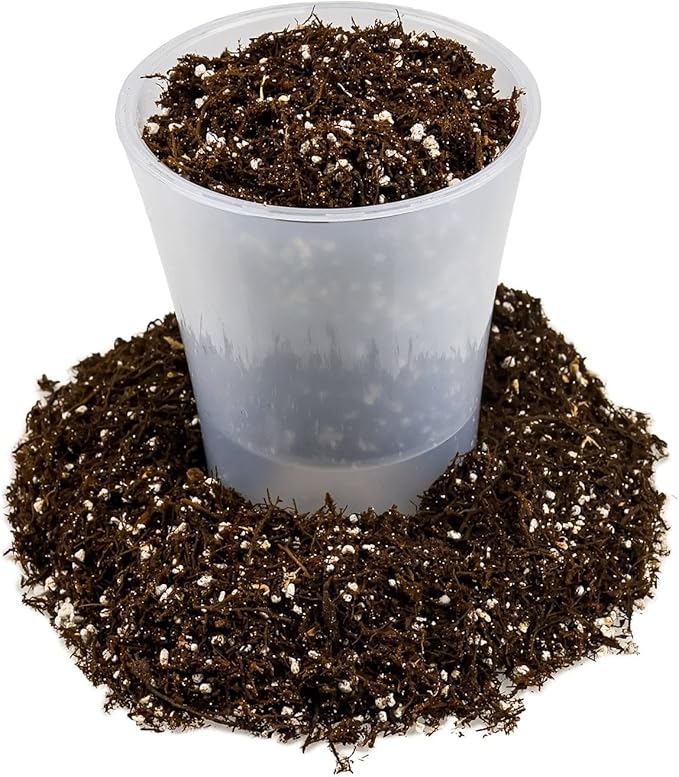Gardenera Fern + Perlite Soil Mix for Repotting and Planting Succulents and Cactuses - 4 Quart Bag
