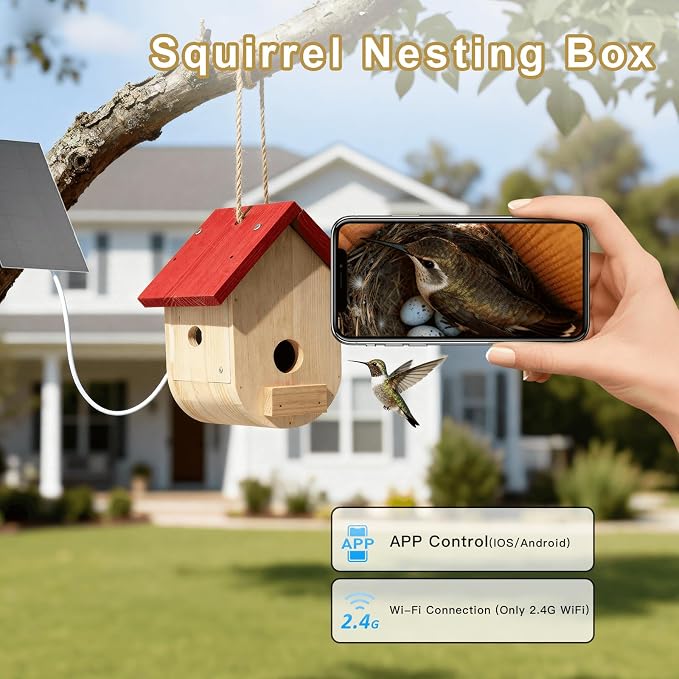Hummingbird House with Camera Solar Powered