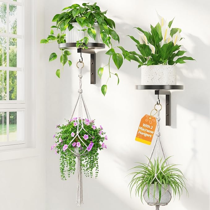 LASZOLA Plant Hangers Shelves Wall Mounted Indoor with 2Pcs Macrame Hanger, Metal Window Plant Holders, 2 Pcs Modern Floating Flower Display Stand with Hooks for Outdoor Kitchen Bathroom Decor, Black