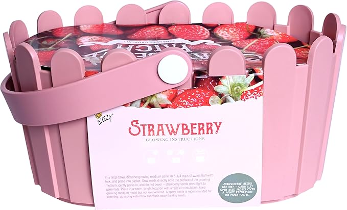 Buzzy Seeds Strawberry Grow Kit Pink Picket Fence Berry Basket with Grandian Seeds, Indoor Planting Starter Kit, DIY Garden Project, Gardening Gift for Women