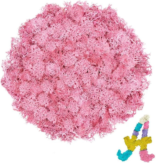 Preserved Reindeer Moss 3.5 OZ Pink Natural for Crafts, DIY Gift Christmas Decor, Wall Art, Potted Plants, Floral Fake Moss for Easter Table Decor Wedding Decorative(3.5 OZ, Pink)