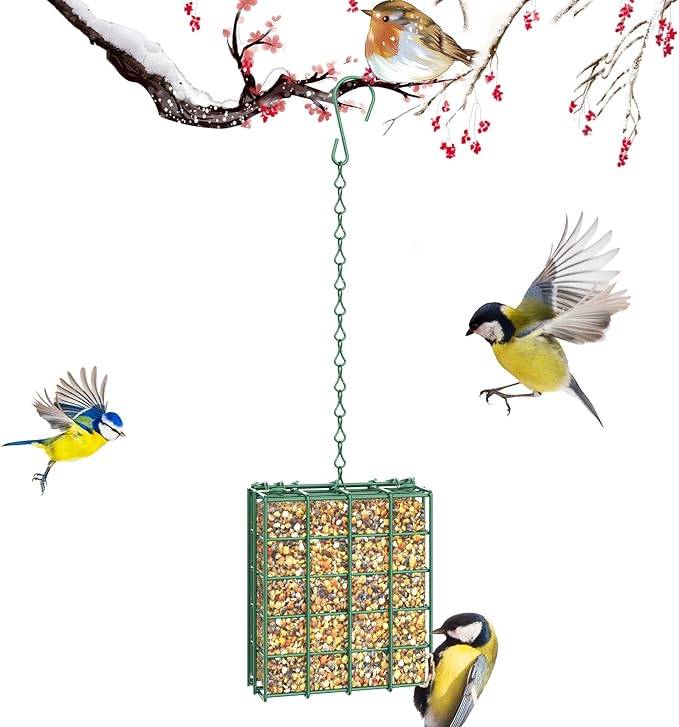 FLINTER Bird Feeder for Outdoors, Suet Feeder Hanging Bird Feeder, Hanging for Garden Yard Outside - Single Suet Cake Feeders fo Attracting Birds, Green