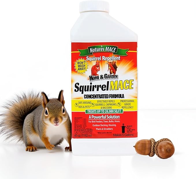 Nature’s MACE Squirrel Mace, Squirrel Repellent Spray, 40 Ounce Concentrate, Squirrel and Chipmunk Repellent, Keep Out of Garden, Attic, Fruit Trees, Plants, Potted Plants, Repel Squirrels