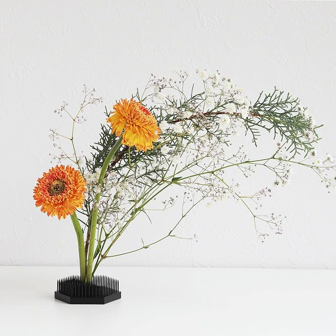 Wazakura Japanese Black Hexagon Ikebana Kenzan Flower Holder 2.6 in (68 mm), Made in Japan Floral Arranging Pin Frog Tool