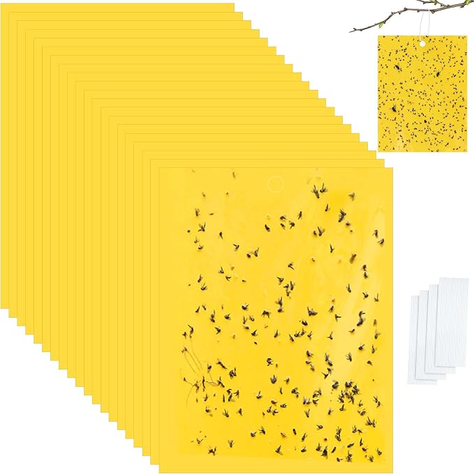 Qualirey 20 Pcs 6x8 Inch Yellow Sticky Traps for Gnats, Dual-Sided Sticky Gnat Traps for Indoor Outdoor Plants, Pest Control for Fungus Gnats, Fruit Flies, Whiteflies with Twist Ties