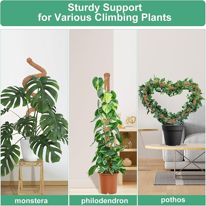 2 Pack Moss Pole, 40 Inch Monstera Plant Support, Moss Poles for Climbing Plants Indoor DIY, Coco Coir Plant Pole Moss Plant Stick Support Stake Kit for Potted Plants, Pothos, Philodendron