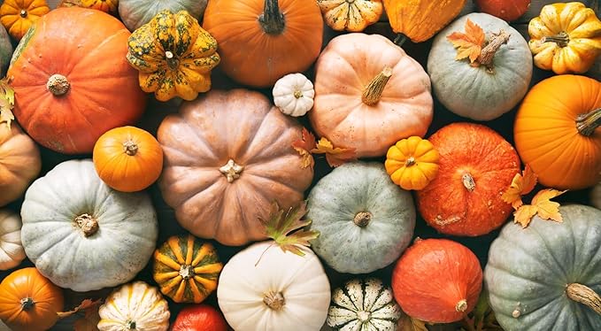 4" Jack Be Little Pumpkin Seeds - Heirloom