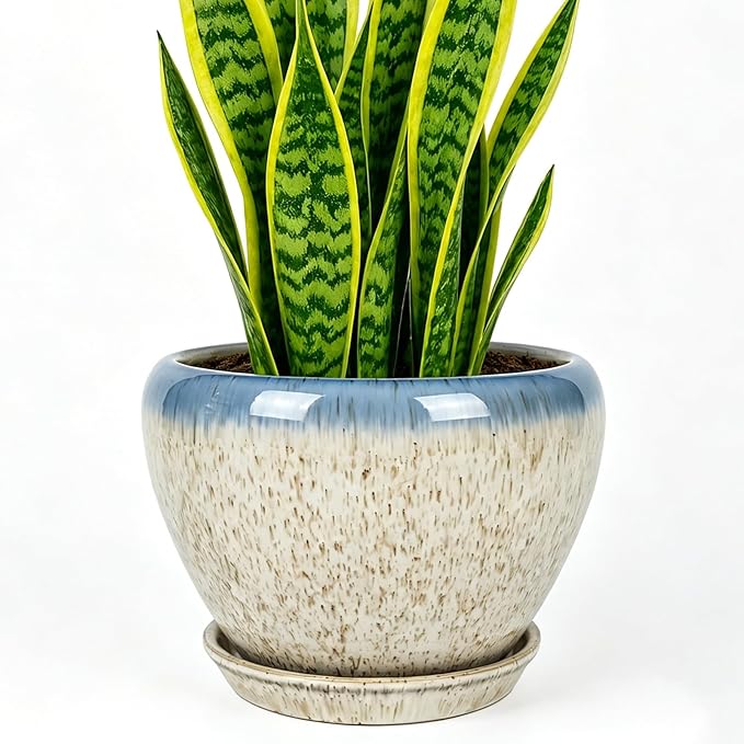 Deep Dream 8 Inch Plant Pots- Ceramic Pots for Plants with Drainage Hole and Saucer, Large Planter Pot for Indoor Plants Outdoor Decor, Beige&Blue