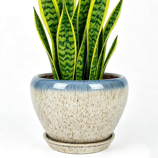 Deep Dream 8 Inch Plant Pots- Ceramic Pots for Plants with Drainage Hole and Saucer, Large Planter Pot for Indoor Plants Outdoor Decor, Beige&Blue