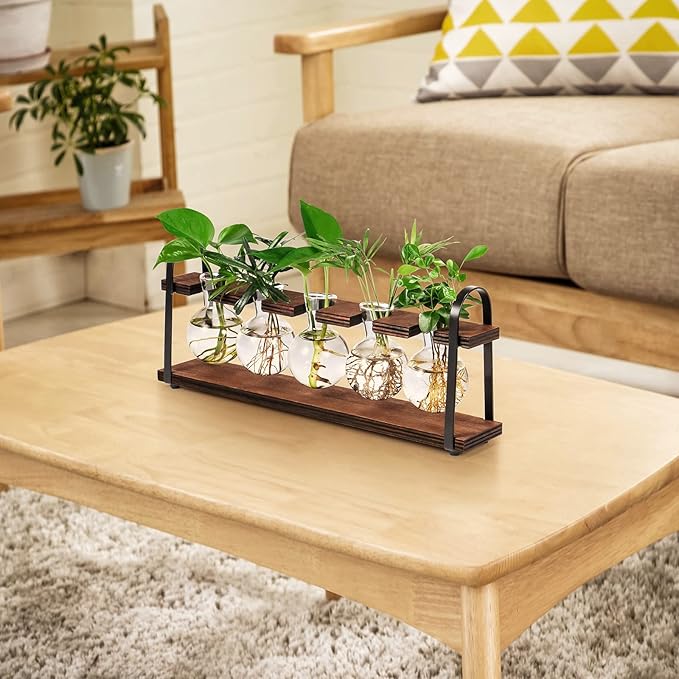 THYGIFTREE Desktop Plant Propagation Stations, Tabletop Retro Plant Terrarium for Indoor Hydroponic Plants Flowers, Plant Lover Gifts