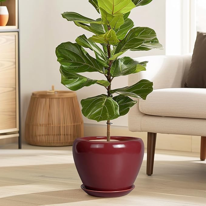 Ceramicfor Ceramic Planter - 8 Inch Plant Pot Indoor with Drainage Hole and Saucer Planter for Outdoor Plants Round Flower Pot for House Patio Decor Red