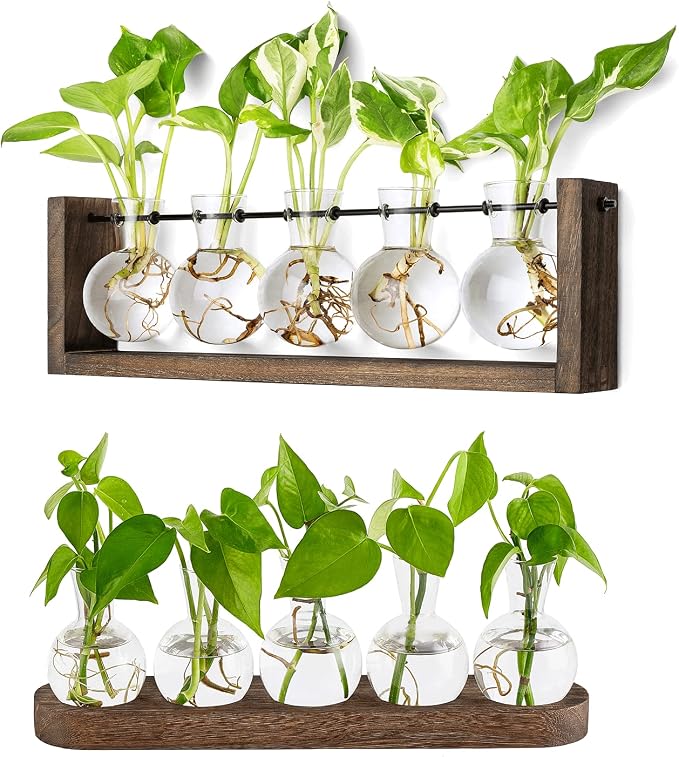 Mkono Plant Terrarium with Wooden Stand, Wall Hanging Glass Planter Desktop Plant Propagation Vase with Metal Swivel Retro Rack for Hydroponics Plants Home Office Decor