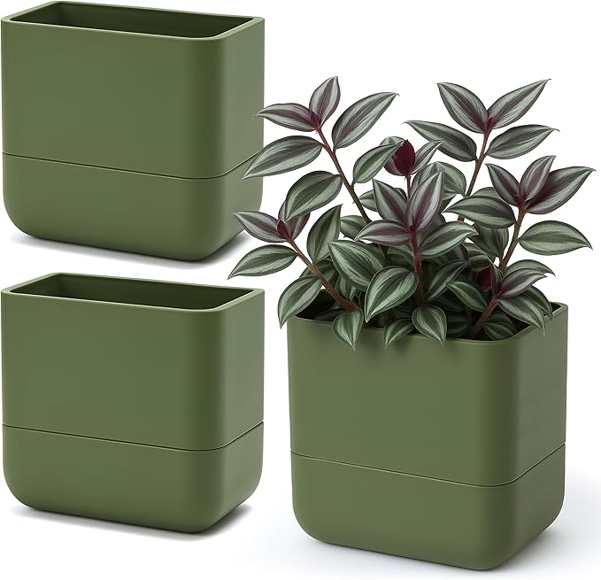Phoenix Vine 6.5 Inch Wall Mounted Self-Watering Planter Pot for Indoor Houseplants and Herbs | Hanging Planter for Window Sills, Bathroom Walls, Home & Office Décor, Olive, Set of 3, 01-C-F-3