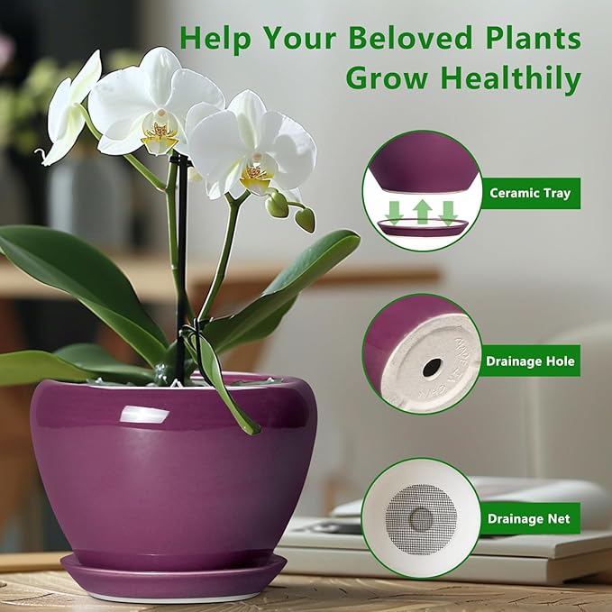 Ceramicfor 10 Inch Plant Pot - Ceramic Planter with Drainage Hole and Saucer, Round Modern Flower Pot for Indoor Outdoor Plants, Housewarming Gift, Home Garden Decor, Purple