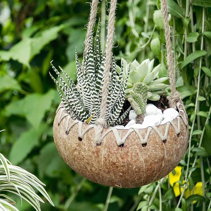 Rainforest Bowls Hanging Fiber Coconut Planter w/Drainage Hole- Perfect for Succulents, Flowers, Small Plants, Indoor & Outdoor Gardens- Handcarved by Artisans, Eco-Friendly & Sustainable