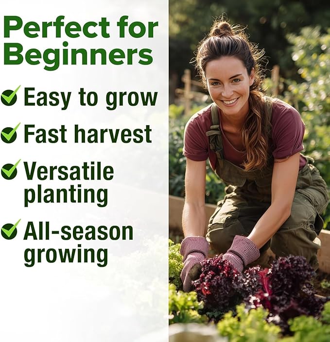 HOME GROWN Lettuce Seeds 8 Variety Mix 9000+ Bulk Pack Heirloom Non-GMO High Germination, Romaine, Bibb, Buttercrunch, Leafy Greens, Indoor Outdoor Hydroponic Garden, Cut & Come Again (Lactuca sativa)