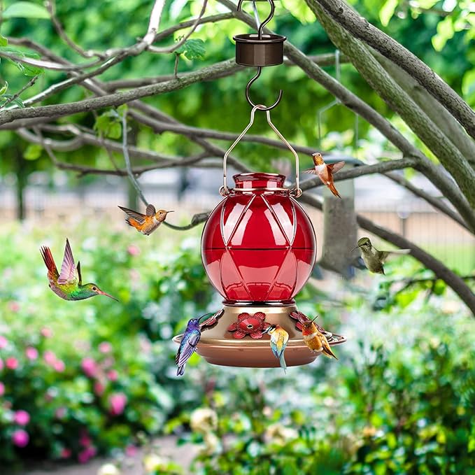 BOLITE Hummingbird Feeder, Glass Hummingbird Feeder for Outdoors, Meshy Texture Ball Shape Bottle, 20 Ounces, Red, Birthday Gifts for Women Men, Gifts for Mom Dad