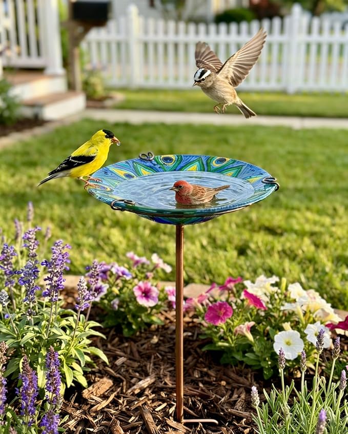 Peacock Bird Bath for Outside Glass Birdbath Bowl & Birdfeeder with Metal Stake for Garden, Yards Lawn Patio, Bird Lovers Gift 10.5" D