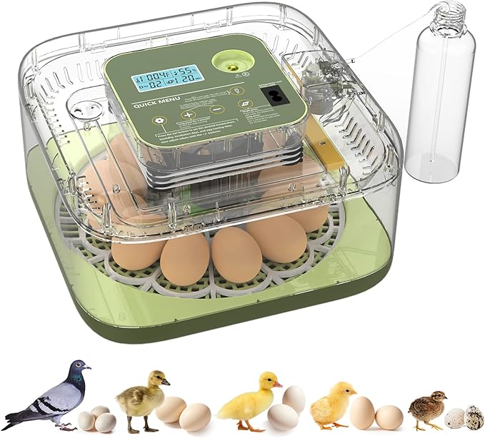 Incubators for Hatching Eggs 12 Egg Digital Egg Incubator Precision Auto Temp Humidity Control 6 Gear Adjustable Auto Turner Auto Stop Turning Hatching Days Display for Chicken Duck Goose Eggs (Green)