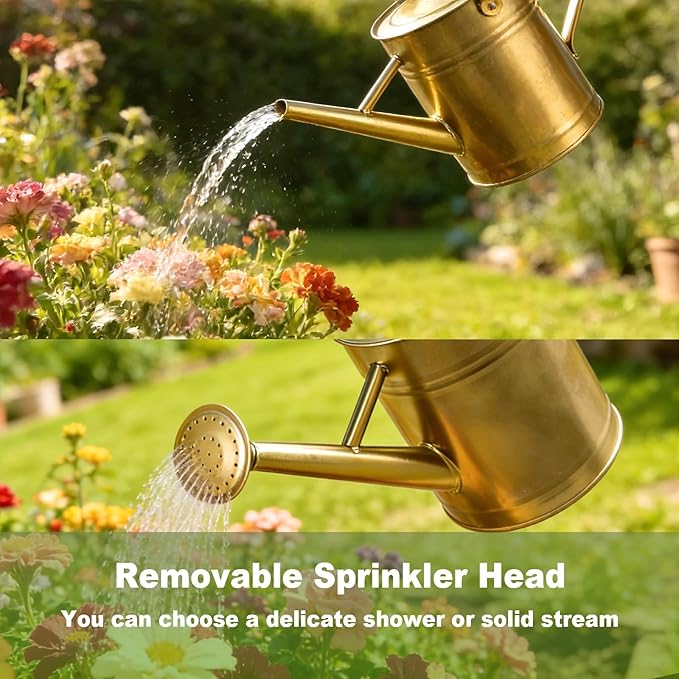 Watering Can for Outdoor&Indoor Plants，1 Gallon Metal Watering Can with with Removable Spout，Galvanized Steel Garden Flower Water Can Plant Watering Pot with 2 Handles，Gold