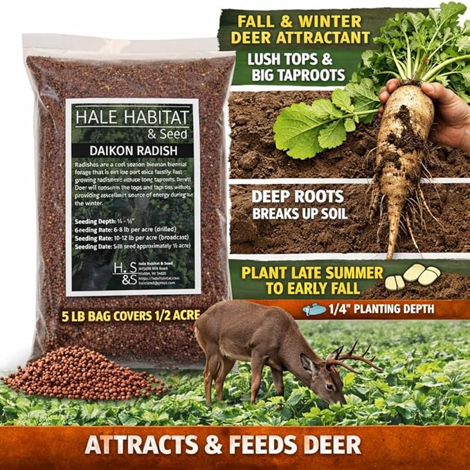 Hale Habitat & Seed Daikon Radish Food Plot Seed, 5 lbs