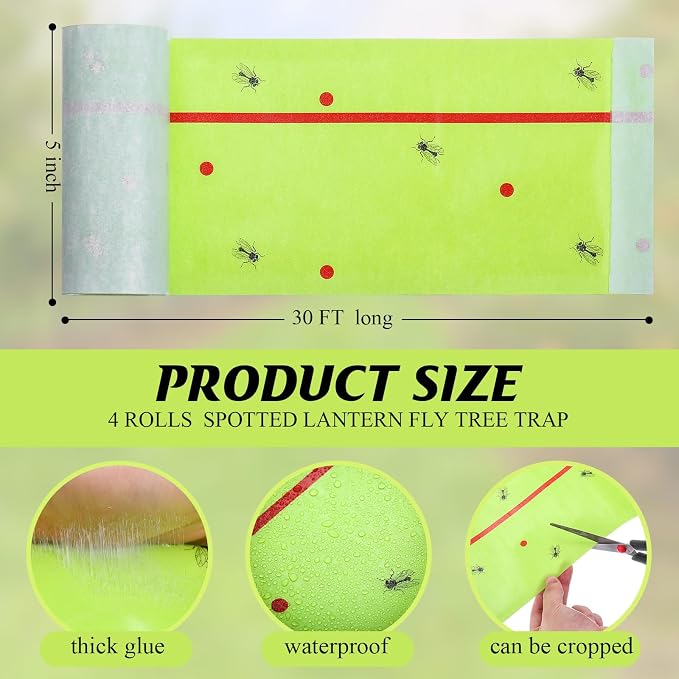 Qualirey 4 Rolls Spotted Lantern Fly Traps 30 Feet Each Roll Fly Tree Trap Sticky Strips Outdoor Fruit Glue Strips Disposable Tape Indoor Paper Sheets for Protecting Trees (Green)