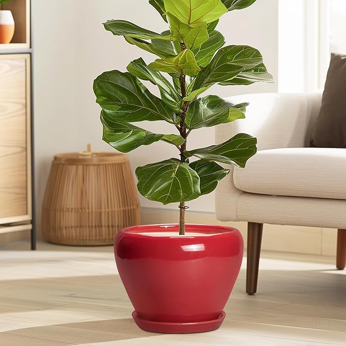 Ceramicfor Ceramic Planter for Indoor Plants 8 Inch - Ceramic Plant Pot with Drainage Hole and Saucer, Glaze Round Decorative Modern Flower Pot, Housewarming Gift, Home Room Office Decor, Red