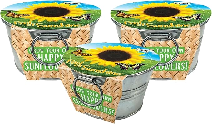 Unique Gardener Grow Your Own Mini Sunflowers Plant Seeds 3-Pack, DIY Indoor Succulents and Live Plants for Home or Garden Planting, Pail of Sunshine