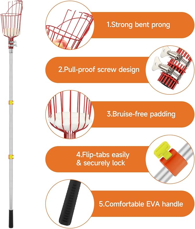 SANLIKE Fruit Picker Pole with Basket 8FT Adjustable Higher Lightweight Fruit Grabber Tool with Extension Pole for Apple Avocado Lemon Peach Pear Mango and Other Fruit Tree Harvester