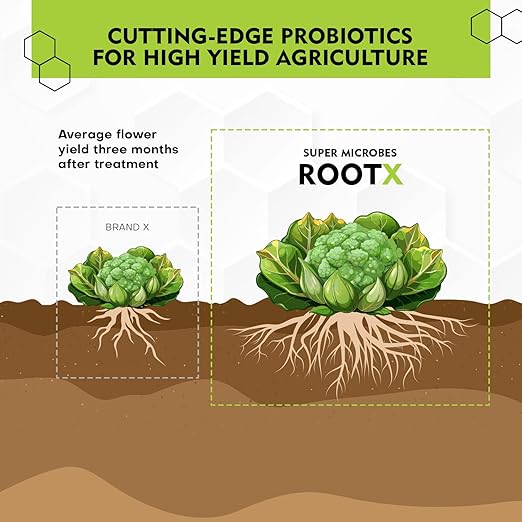 Root Booster & Cloning Powder | Stronger Than Rooting Hormone | Mycorrhizae, Trichoderma & Bacillus for Explosive Root Growth | Grow More Roots, Grow More Buds | Soil & Hydro | 150g