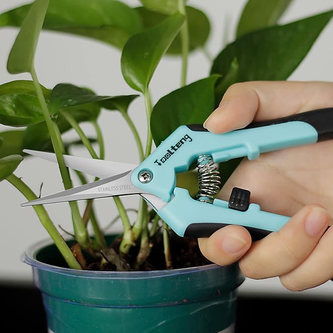 12 Packs Pruning Shears, Garden Trimming Scissors, Gardening Hand Pruning Snips, Titanium Coated Precision Bonsai Pruning Shears, Convenient and Efficient Flower Cutters (Blue)