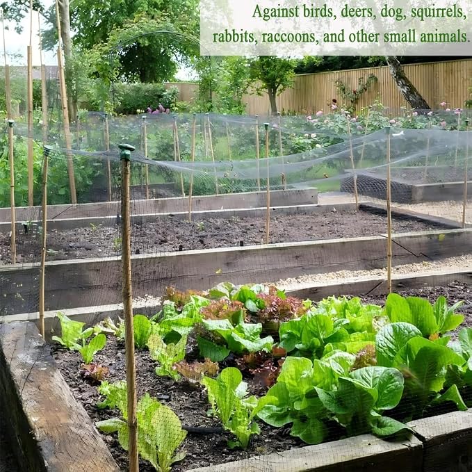 Bird Netting 25X25 FT, 1/2" Mesh, Strong Woven Garden Netting for Plants, Fruit Trees, Blueberry Bushes, Vegetables, Strawberry Protection, Against Bird, Deer, Squirres, Poultry, Small Animals