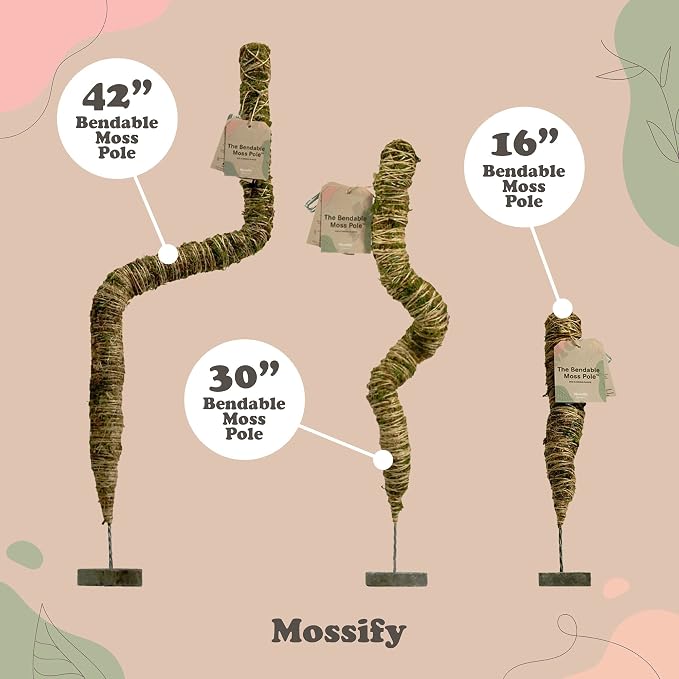 Mossify Bendable Moss Pole 16'' Monstera Plant Support for Climbing Indoor Plants - 100% Sustainably Farmed Moss Pole for Plants Indoor Growth - Flexible Handmade Sphagnum Plant Poles Support