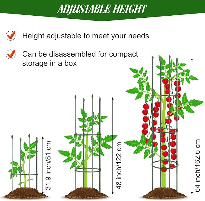 Hahood 6 Pack Tomato Cages for Garden Plant Support 64 Inches Tall Garden Trellis Plant Stakes for Indoor Outdoor Plants Climbing Plants Vegetable Fruit Crop Flower Vine, Green