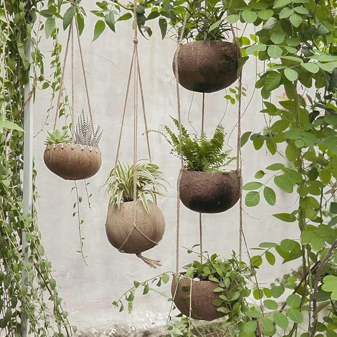 Rainforest Bowls Set of 4 3-Tier Hanging Coconut Planters w/Drainage - Perfect for Succulents, Flowers, Small Plants, Indoor & Outdoor Gardens- Handcarved by Artisans, Eco-Friendly & Sustainable