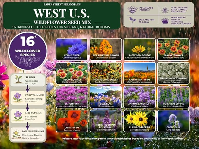 Western U.S. Regional Wildflower Seed Mix, 1 lb Covers 3,200 sq ft, Multi-Color Perennial and Annual Blooms, Spring and Fall Planting (1 Pound)