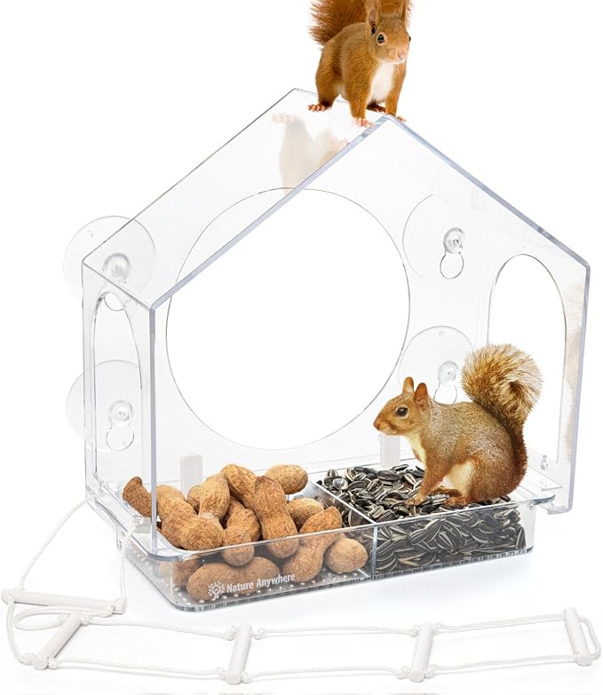 Window Squirrel Feeder - Funny Chipmunk Feeder - Easy to Install, No Assembly Needed - Includes Evergrip 4X Suction Cups - Squirrel Feeders for Outside - Squirrel House