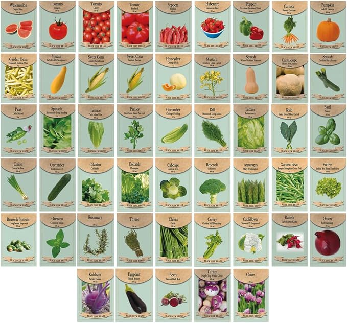 Black Duck Brand 50 Packs Assorted Heirloom Vegetable Seeds 20+ Varieties All Seeds are Heirloom, 100% Non-GMO