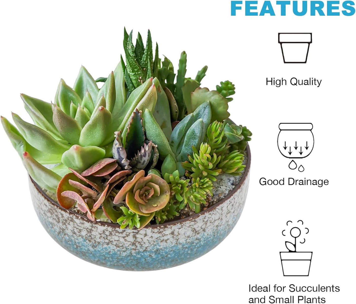 kilolfy Happy Bonsai Pot 6.5 inch Glazed Ceramic Succulent Planter Container