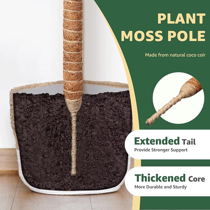 3-Pack 35in Bendable & Sturdy Plant Moss Pole for Monstera, Gifts for Plant Lovers, Pothos Vines, Philodendron, Fishbone Cactus & Indoor Tropical Houseplants, Coco Coir