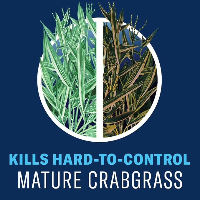 BioAdvanced All-in-One Lawn Weed & Crabgrass Killer, Concentrate, 1gal
