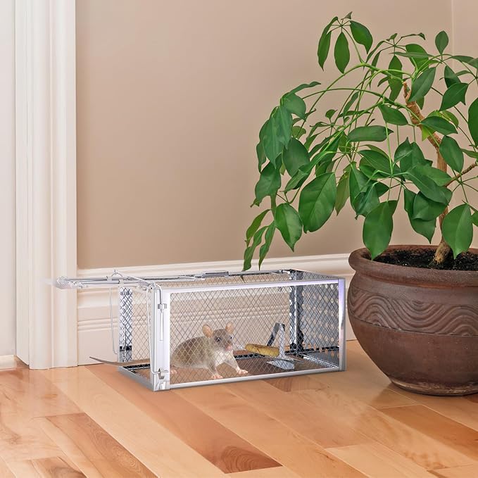 TeqHome Humane Rat Trap, Small 1-Door Live Chipmunk Trap That Work for Indoor and Outdoor, Easy to Catch and Release Live Animal Traps Mouse Traps Cage for Rodents Mice Voles Hamsters,Metal & Reusable