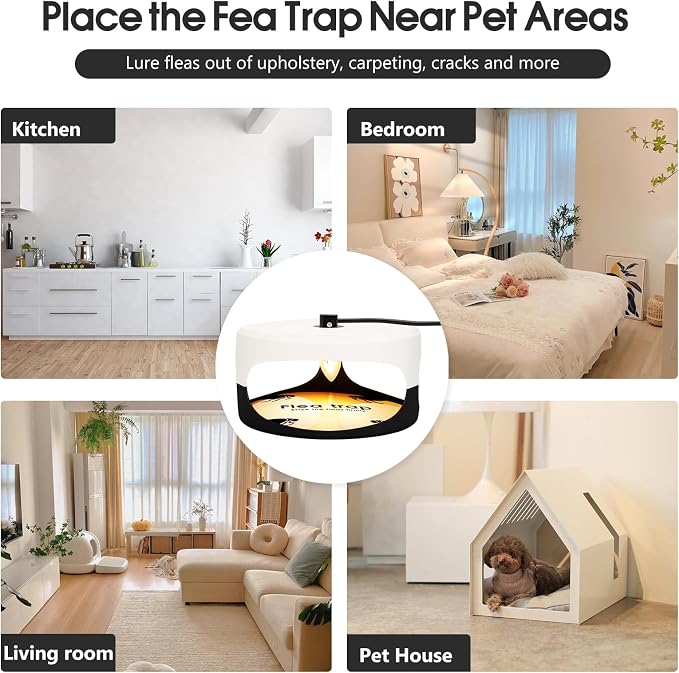 2 Pack Flea Traps for Inside Your Home, Indoor Flea Light, Bed Bug Killer with 6 Sticky Pads & 6 Light Bulb, Odorless Natural Insect Infestation Treatment Trap for Kid Pet