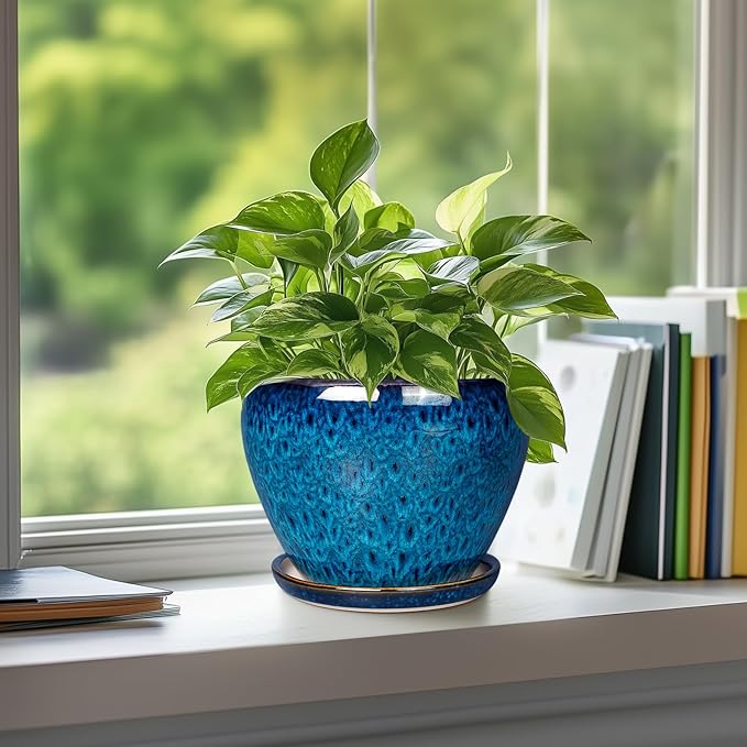Ceramic Modern Glaze Succulent Planter Pot with Drainage Hole and Saucer 6 Inch Round Flower Plant Pot for Indoor Outdoor Herb Snake Plants