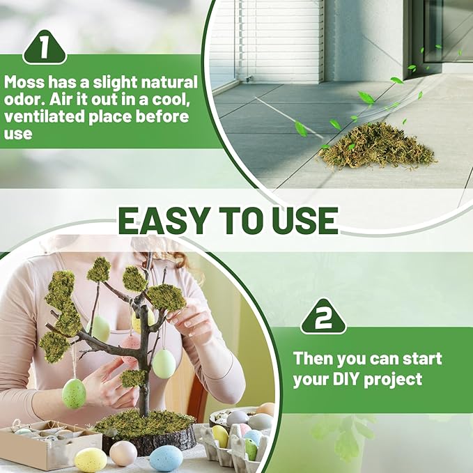 Alphatool 10oz Natural Green Moss for Crafts Beginners - Starter Moss for Plants Indoor, Artificial Fairy Gardens, Mini Mosswall, Glass Terrariums, Filling Fake Plants, Home Decoration
