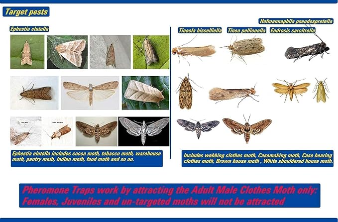 Dual Moth Traps for Clothes and Pantry Highly Effective All-Around Moth Traps,Pro Cloest Essentials Get Rid of Wool Moths with Natural Safe and Odor-Free Dual Premium Pheromone