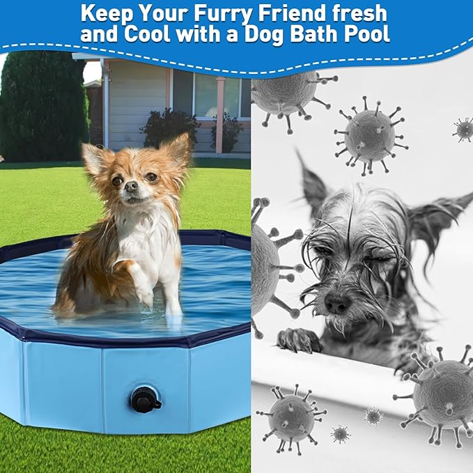 Foldable Duck Pool, Portable Hard Plastic Duck Pond Tub, Collapsible Duck Pools for Pet Ducks, Dogs and Cats – Indoor & Outdoor Use, Hard Shell, Easy to Clean and Store