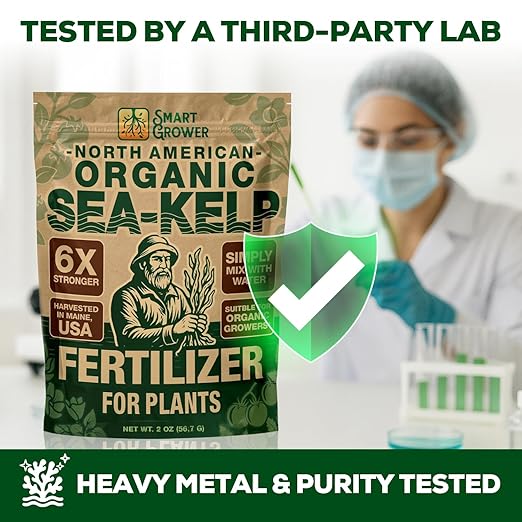 Organic Sea Kelp Fertilizer for Plants – Water-Soluble – Makes 50 Gallons – Kelp Meal Concentrate Plant Food – for Indoor Gardens, Hydroponics, Vegetables, Houseplants - Smart Grower - 2oz Bag