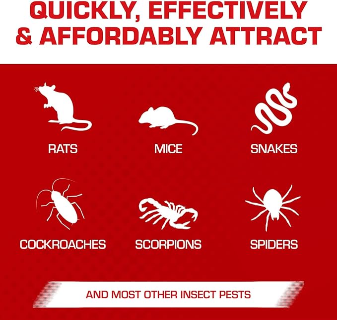 Tomcat Super Hold Glue Traps Rat Size for Rats, Mice, Snakes, Cockroaches, Spiders, and Scorpions, Ready-To-Use, 2 Traps